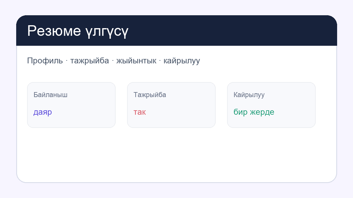 Кыргыз тилиндеги резюме: first page